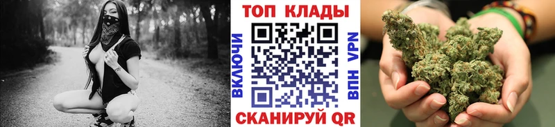 Где найти наркотики Волхов Бошки Шишки Cocaine Альфа ПВП МЕФ