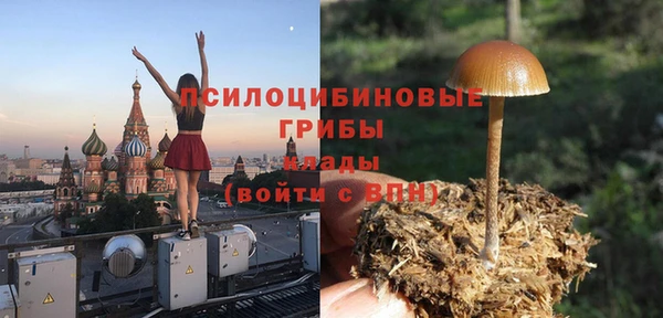 спиды Аркадак