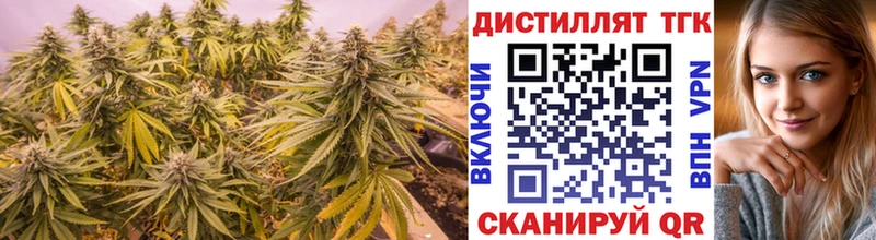 где можно купить   дарк нет как зайти  Дистиллят ТГК THC oil  Волхов 