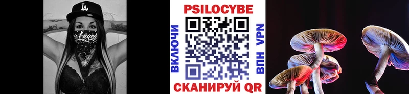 где продают   Волхов  Галлюциногенные грибы Cubensis 